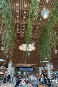 Mass timber interior at Portland International Airport with wood ceiling and greenery